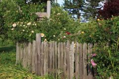 applegarden-farm-cottage-gallery-4