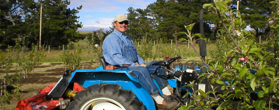 lou at work on farm